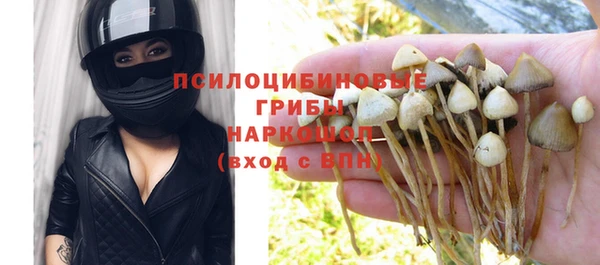 ГАЛЛЮЦИНОГЕННЫЕ ГРИБЫ Балабаново