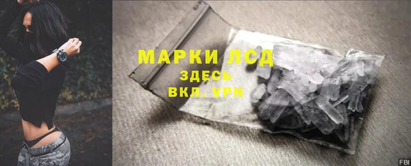 прущие грибы Баксан