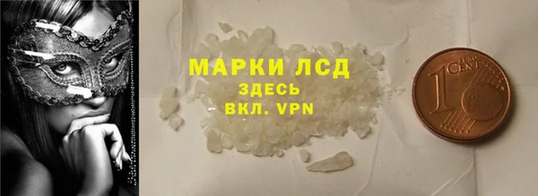 прущие грибы Баксан